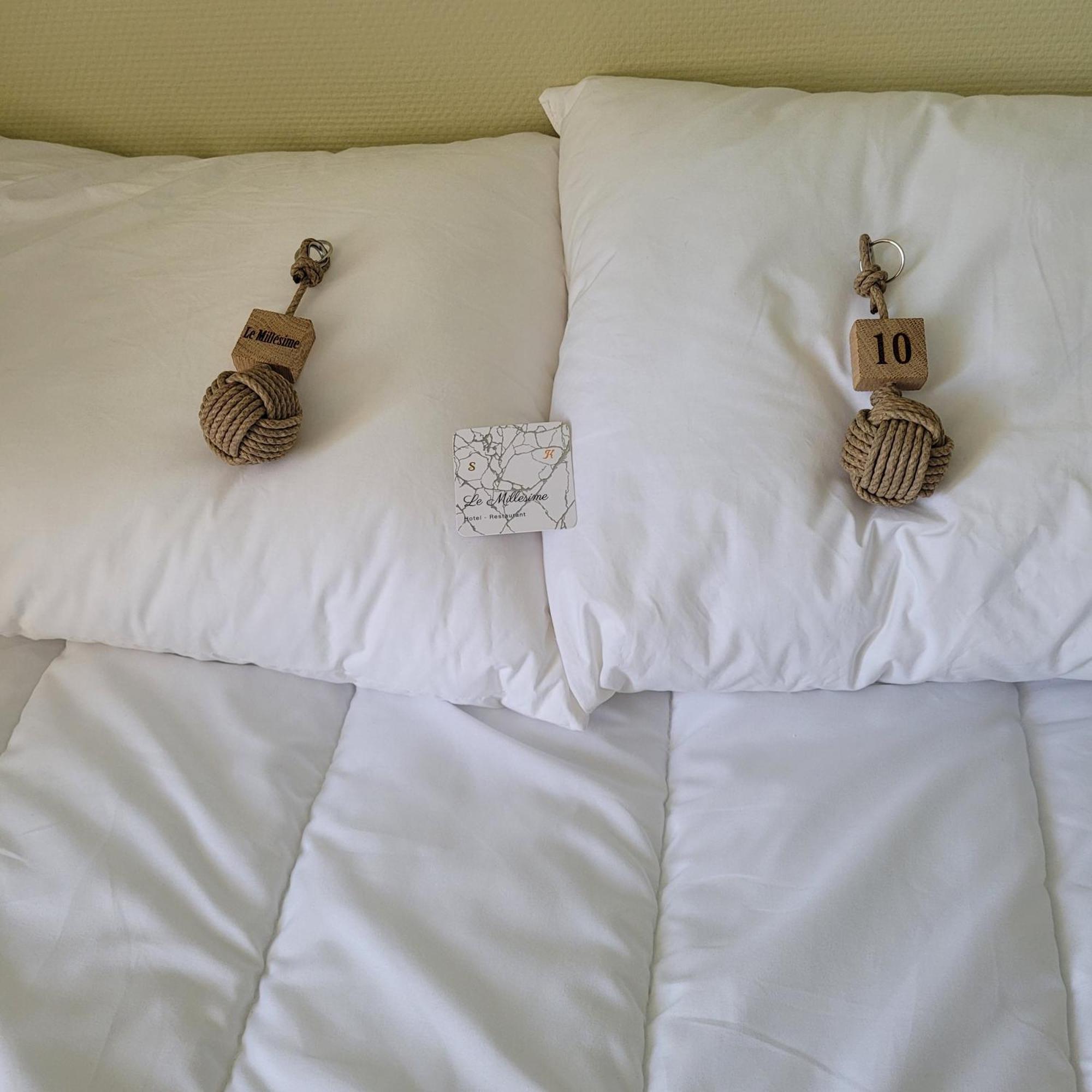 Hotel Le Millesime Meymac Εξωτερικό φωτογραφία